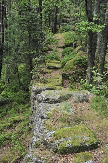 The Pagan Wall, Mur Paien in forest near Mont Sainte-Odile, Vosges, Alsace, France, Europe