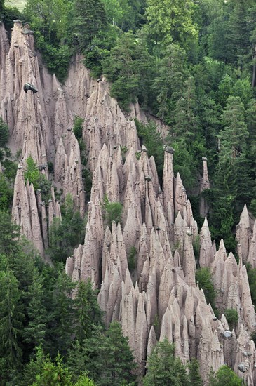 The earth pyramids of Longomoso, Lengmoos, Monti di Mezzo on the Renon plateau, Dolomites, Italy, Europe