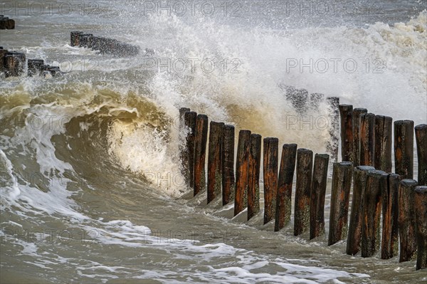 Wave crashing into wooden groyne, breakwater to avoid beach sand erosion during winter storm along North Sea coast in Zeeland, Netherlands