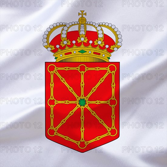 The coat of arms of Navarre in Spain, Studio
