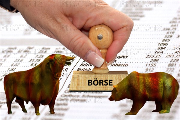 Bull and bear, symbolic figures of the stock market, Studio