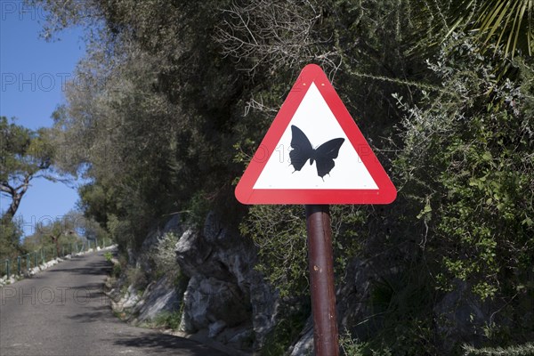 Road sign picture of a butterfly Rock nature reserve Gibraltar, British terroritory in southern Spain