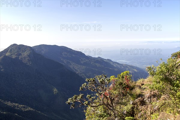 World's End cliff at Horton Plains national park, Sri Lanka, Asia