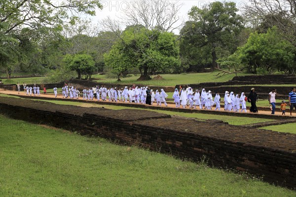 Large school group of children in the palace water gardens, Sigiriya, Central Province, Sri Lanka, Asia