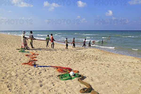 Traditional fishing hauling nets Nilavelli beach, near Trincomalee, Eastern province, Sri Lanka, Asia