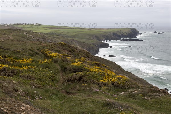 Stormy weather on the Lizard Peninsula coast, Cornwall, England, UK