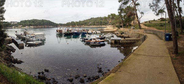 View from the promenade path to a bay, small harbour, panoramic view, near Veli Losinj, Kvarner Bay, Croatia, Europe
