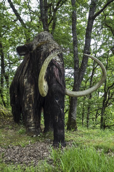 Replica of woolly mammoth (Mammuthus primigenius) at the Le Thot museum about prehistoric animals and Paleolithic art found in the Lascaux cave, Thonac near Montignac, Dordogne, France, Europe