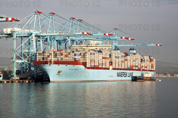 APM Terminals container ship port at Algeciras, Cadiz Province, Spain, Europe