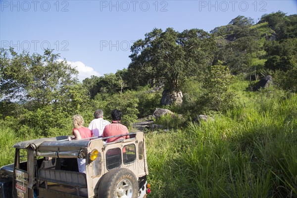 Elephant safari in Hurulu Eco Park biosphere reserve, Habarana, Anuradhapura District, Sri Lanka, Asia