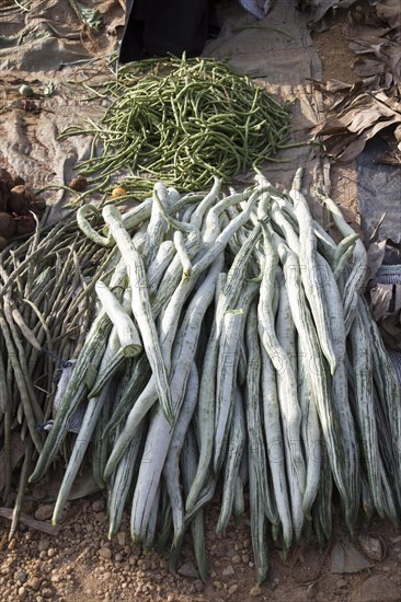 Fruit and vegetable market, Haputale, Badulla District, Uva Province, Sri Lanka, Asia