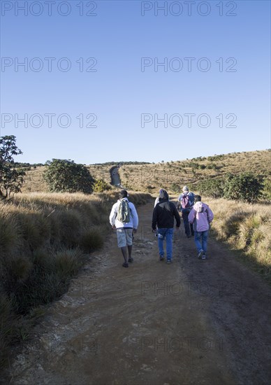 Walkers in Horton Plains national park montane grassland environment, Sri Lanka, Asia