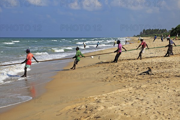 Traditional fishing hauling nets Nilavelli beach, near Trincomalee, Eastern province, Sri Lanka, Asia