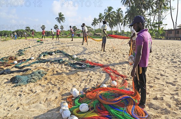 Traditional fishing hauling nets Nilavelli beach, near Trincomalee, Eastern province, Sri Lanka, Asia