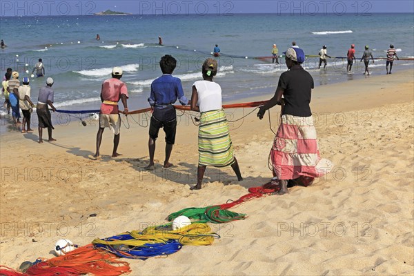 Traditional fishing hauling nets Nilavelli beach, near Trincomalee, Eastern province, Sri Lanka, Asia