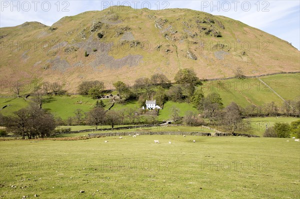 White detached farmhouse, Boredale valley, Martindale, Lake District national park, Cumbria, England, UK