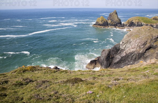 Coastal scenery near Kynance Cove, Lizard Peninsula, Cornwall, England, UK