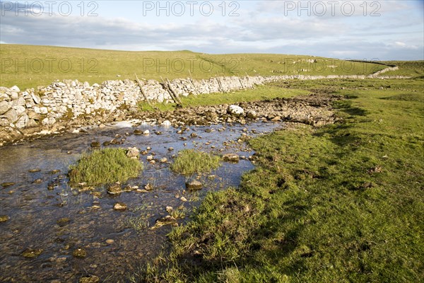 Stream sinking underground in limestone rock, Malham, Yorkshire Dales national park, England, UK