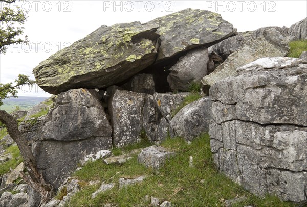 Norber erratics glacial deposition, Austwick, Yorkshire Dales national park, England, UK