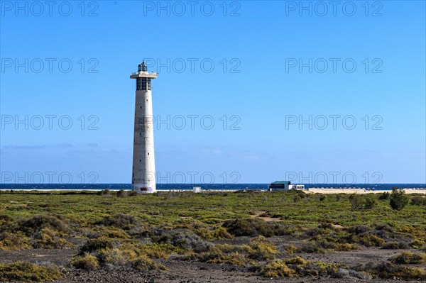 View of lighthouse Faro de Morro Jable on east coast of peninsula Jandia, in the foreground green plants ground cover vegetation on ground of volcanic origin, in the background blue sea east atlantic Atlantic, above bright blue sky, on the horizon light clouds, Fuerteventura, Canary Islands, Spain, Europe