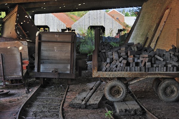 Rusty wagons with load of bricks near ring oven, kiln at brickworks, Boom, Belgium, Europe