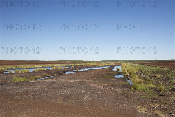 Peat extraction at Totes Moor, Tote Moor, raised bog near Neustadt am Ruebenberge, district of Hannover, Lower Saxony, Niedersachsen, Germany, Europe