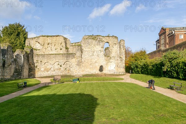 Abbey ruins, Reading, Berkshire, England, UK