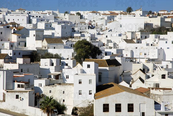 Pueblo blanco historic village whitewashed houses on hillside, Vejer de la Frontera, Cadiz Province, Spain, Europe