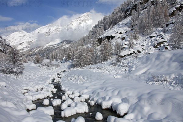 Mountain stream in the snow in winter in the Gran Paradiso National Park, Valle d'Aosta, Italy, Europe