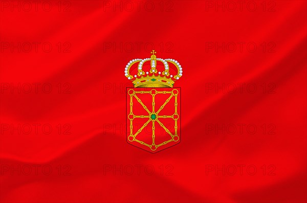 The flag of Navarre, Spain, Europe, EU, Studio, Europe