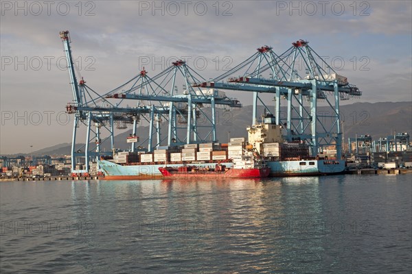 Large cranes at APM Terminals loading container ships port at Algeciras, Cadiz Province, Spain, Europe