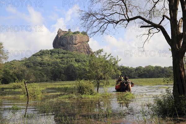 Elephant ride in lake by rock palace, Sigiriya, Central Province, Sri Lanka, Asia