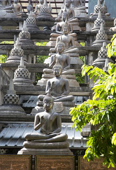 Buddha statues at Gangaramaya Buddhist Temple, Colombo, Sri Lanka, Asia