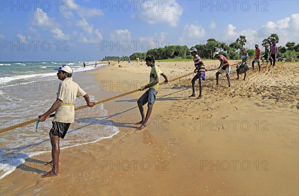 Traditional fishing hauling nets Nilavelli beach, near Trincomalee, Eastern province, Sri Lanka, Asia