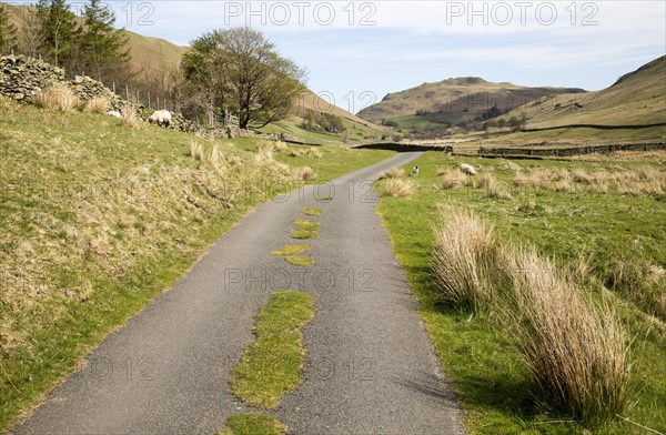 Narrow road and dry stonewall, Boredale valley, Martindale, Lake District national park, Cumbria, England, UK