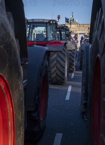 Germany, Berlin, 08.01.2024, Protest by farmers in front of the Brandenburg Gate, nationwide protest week against the policies of the traffic light government and cuts for farms, Europe