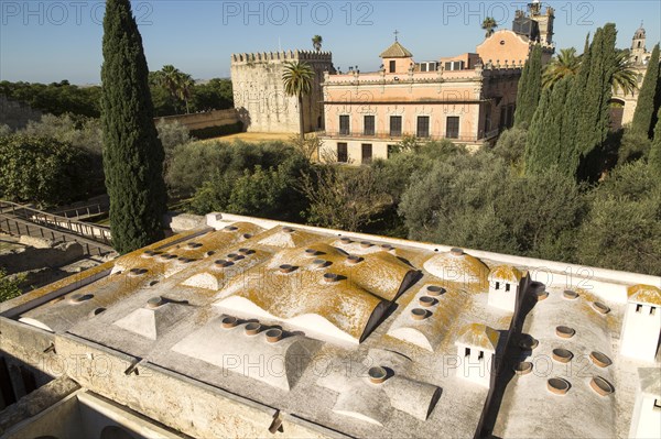 Historic palace building, Palacio de Villavicencio and gardens in the Alcazar, Jerez de la Frontera, Spain, Europe