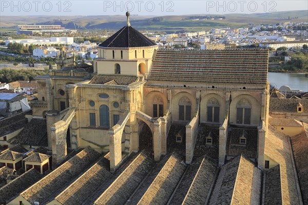 Raised angle view of Great Mosque, Mezquita cathedral, former mosque building in central, Cordoba, Spain, Europe