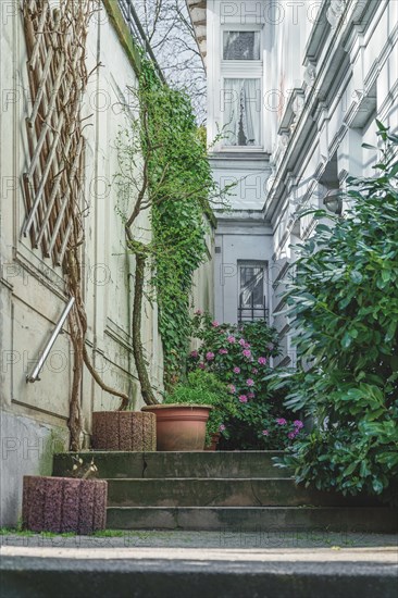 A green oasis with steps and plants in front of a residential building, Wuppertal Elberfeld, North Rhine-Westphalia, Germany, Europe