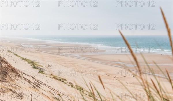 A quiet beach landscape with dunes and few visitors, Lacanau-Ocean, Bordeaux, France, Europe