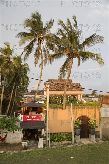 Small restaurant and palm trees in historic town of Galle, Sri Lanka, Asia