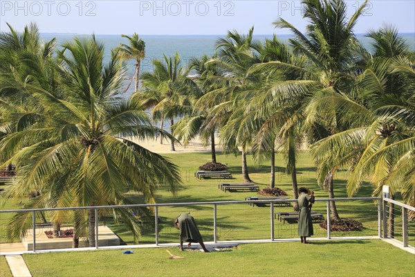 Amaya Beach Resort and Spa hotel, Pasikudah Bay, Eastern Province, Sri Lanka, Asia staff tending sedum grass roof garden, Asia