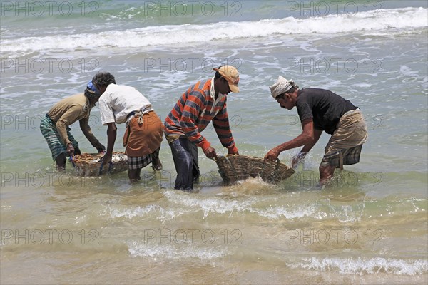 Traditional fishing hauling nets Nilavelli beach, near Trincomalee, Eastern province, Sri Lanka, Asia