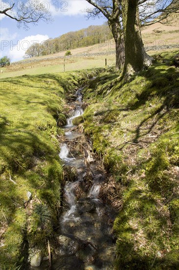 Small fell stream, Buttermere, Lake District national park, Cumbria, England, UK