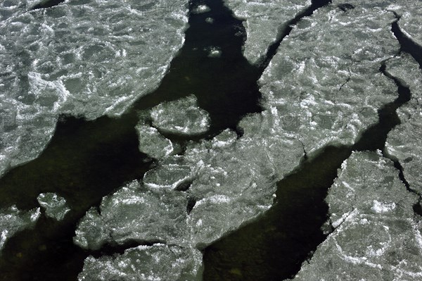 Pancake ice floating on river due to severe cold in winter, Belgium, Europe