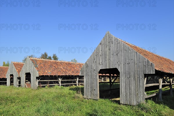 Drying yards with roof tiles at brickworks, Boom, Belgium, Europe