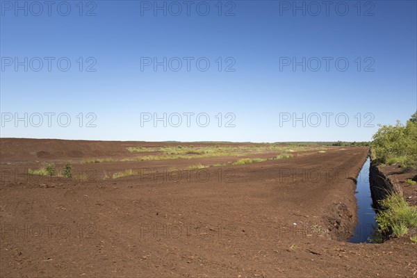 Peat extraction at Totes Moor, Tote Moor, raised bog near Neustadt am Ruebenberge, district of Hannover, Lower Saxony, Niedersachsen, Germany, Europe