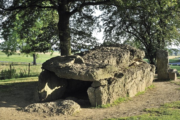 Megalithic Grand Dolmen de Weris and menhir made of conglomerate rock, Belgian Ardennes, Luxembourg, Belgium, Europe