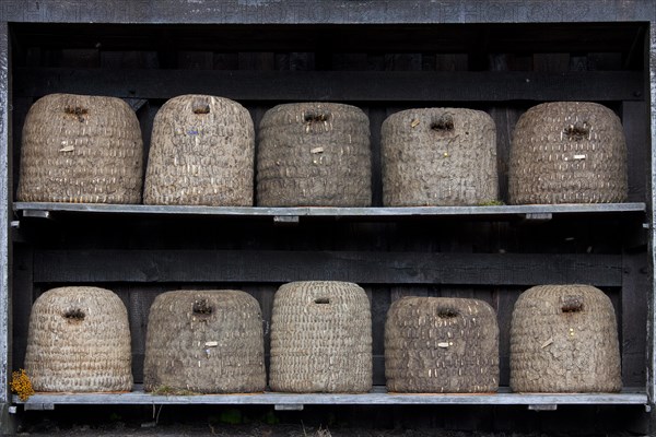 Bee hives, beehives, skeps in rustic shelter of apiary in the Lueneburg Heath, Lunenburg Heath, Lower Saxony, Germany, Europe