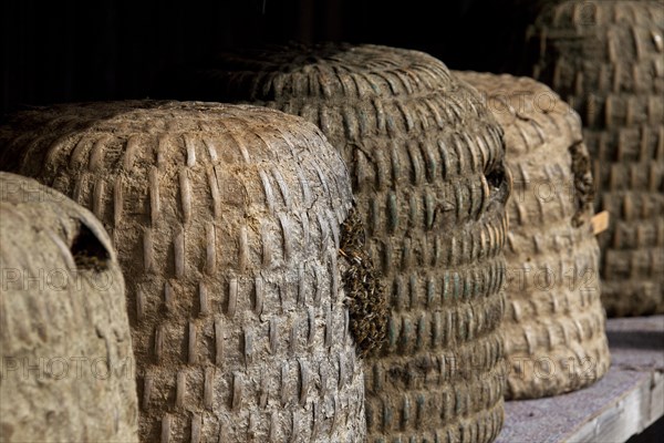 Bee hives, beehives, skeps in rustic shelter of apiary in the Lueneburg Heath, Lunenburg Heath, Lower Saxony, Germany, Europe